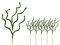 5 Pack of 31" Lime Green Picks with Green Ball Accents and Glitter Enhancements